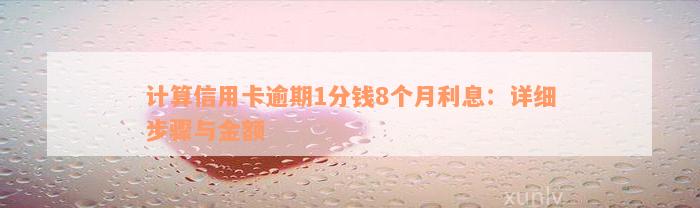 计算信用卡逾期1分钱8个月利息：详细步骤与金额