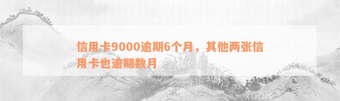 信用卡9000逾期6个月，其他两张信用卡也逾期数月