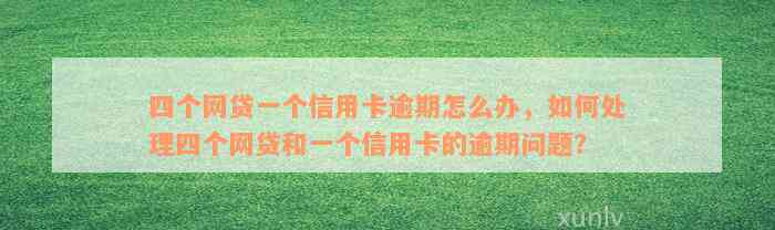 四个网贷一个信用卡逾期怎么办，如何处理四个网贷和一个信用卡的逾期问题？