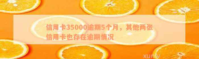 信用卡35000逾期5个月，其他两张信用卡也存在逾期情况