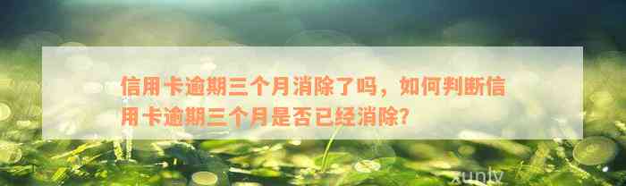 信用卡逾期三个月消除了吗，如何判断信用卡逾期三个月是否已经消除？