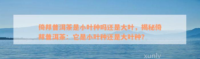 倚邦普洱茶是小叶种吗还是大叶，揭秘倚邦普洱茶：它是小叶种还是大叶种？