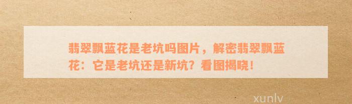 翡翠飘蓝花是老坑吗图片，解密翡翠飘蓝花：它是老坑还是新坑？看图揭晓！