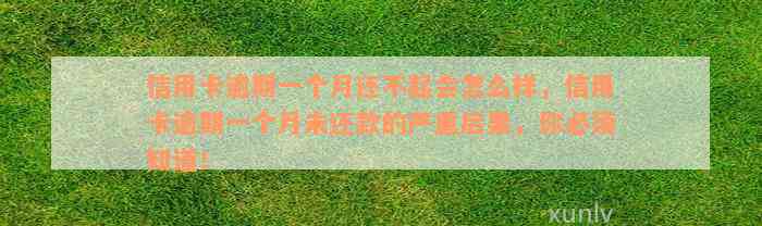 信用卡逾期一个月还不起会怎么样，信用卡逾期一个月未还款的严重后果，你必须知道！