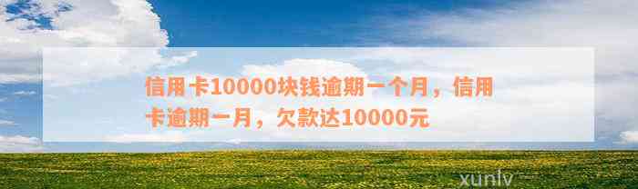 信用卡10000块钱逾期一个月，信用卡逾期一月，欠款达10000元