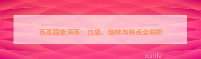 百茶园普洱茶：口感、滋味与特点全解析