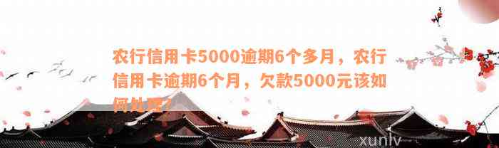 农行信用卡5000逾期6个多月，农行信用卡逾期6个月，欠款5000元该如何处理？