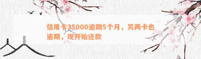 信用卡35000逾期5个月，另两卡也逾期，现开始还款