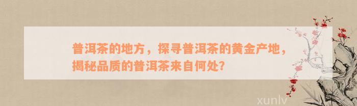 普洱茶的地方，探寻普洱茶的黄金产地，揭秘品质的普洱茶来自何处？