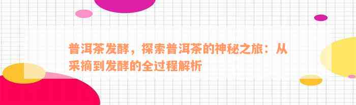 普洱茶发酵，探索普洱茶的神秘之旅：从采摘到发酵的全过程解析