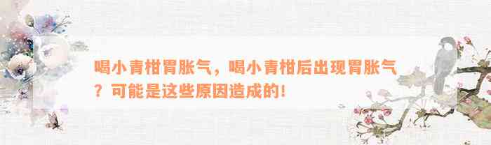 喝小青柑胃胀气，喝小青柑后出现胃胀气？可能是这些原因造成的！