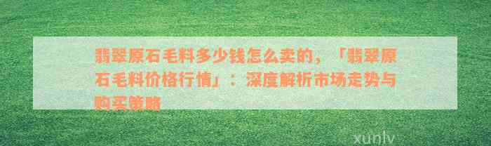 翡翠原石毛料多少钱怎么卖的，「翡翠原石毛料价格行情」：深度解析市场走势与购买策略