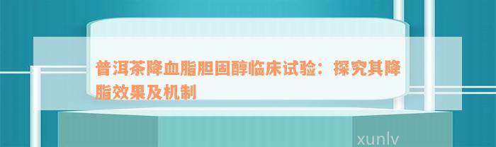 普洱茶降血脂胆固醇临床试验：探究其降脂效果及机制