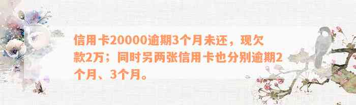 信用卡20000逾期3个月未还，现欠款2万；同时另两张信用卡也分别逾期2个月、3个月。