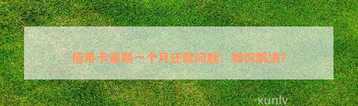 信用卡逾期一个月还款问题：如何解决？