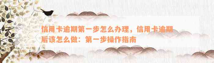 信用卡逾期第一步怎么办理，信用卡逾期后该怎么做：第一步操作指南