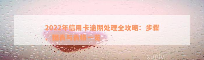 2022年信用卡逾期处理全攻略：步骤、图表与表格一览