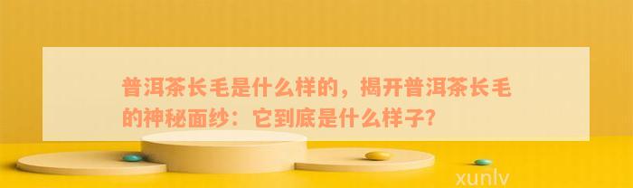 普洱茶长毛是什么样的，揭开普洱茶长毛的神秘面纱：它到底是什么样子？