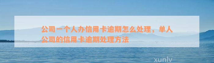 公司一个人办信用卡逾期怎么处理，单人公司的信用卡逾期处理方法