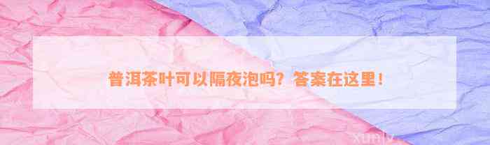 普洱茶叶可以隔夜泡吗？答案在这里！