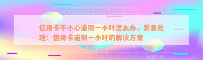 信用卡不小心逾期一小时怎么办，紧急处理：信用卡逾期一小时的解决方案