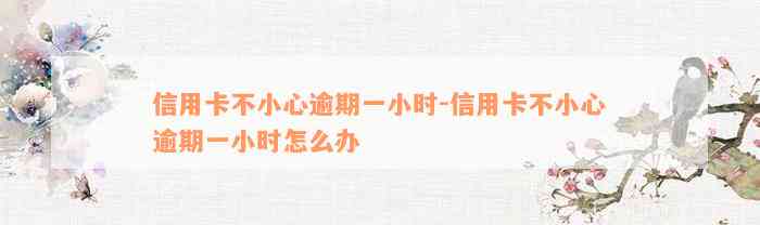 信用卡不小心逾期一小时-信用卡不小心逾期一小时怎么办