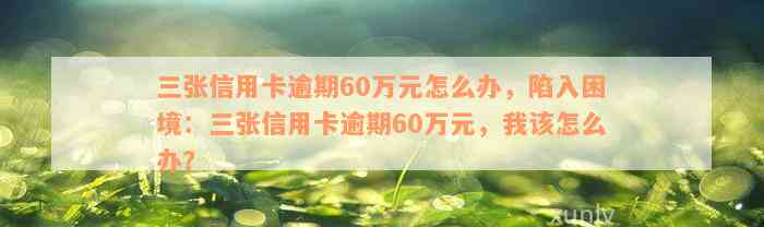 三张信用卡逾期60万元怎么办，陷入困境：三张信用卡逾期60万元，我该怎么办？