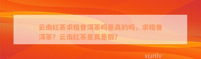 云南红茶求租普洱茶吗是真的吗，求租普洱茶？云南红茶是真是假？