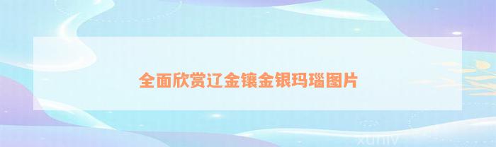 全面欣赏辽金镶金银玛瑙图片