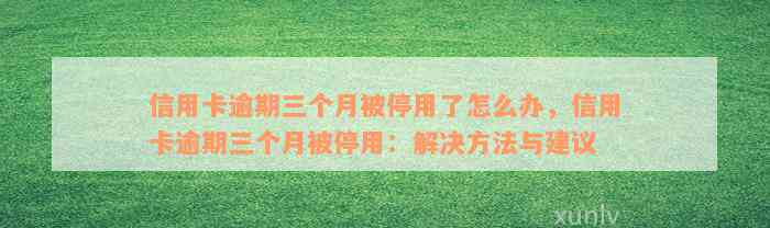 信用卡逾期三个月被停用了怎么办，信用卡逾期三个月被停用：解决方法与建议