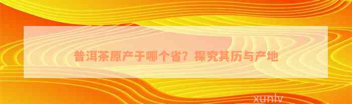 普洱茶原产于哪个省？探究其历与产地