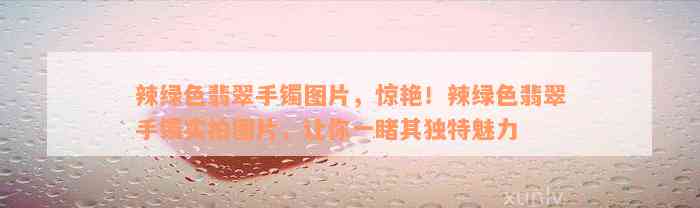 辣绿色翡翠手镯图片，惊艳！辣绿色翡翠手镯实拍图片，让你一睹其独特魅力