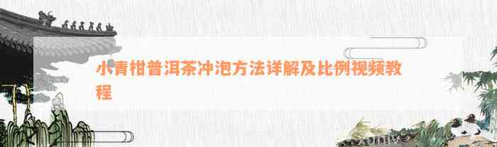 小青柑普洱茶冲泡方法详解及比例视频教程