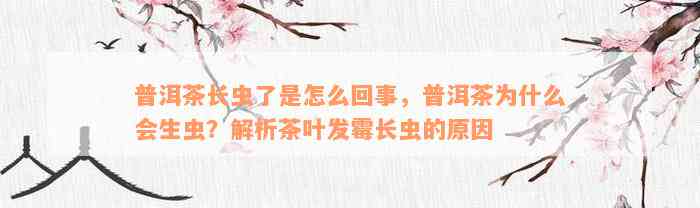 普洱茶长虫了是怎么回事，普洱茶为什么会生虫？解析茶叶发霉长虫的原因