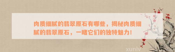 肉质细腻的翡翠原石有哪些，揭秘肉质细腻的翡翠原石，一睹它们的独特魅力！