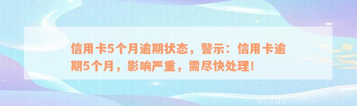 信用卡5个月逾期状态，警示：信用卡逾期5个月，影响严重，需尽快处理！