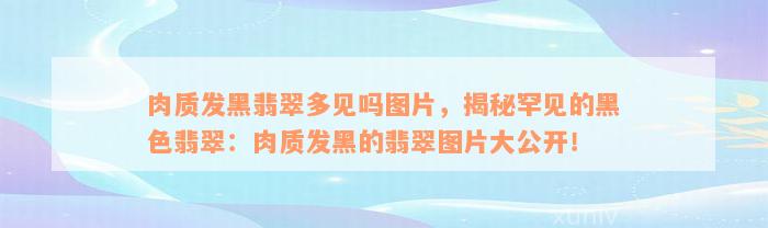 肉质发黑翡翠多见吗图片，揭秘罕见的黑色翡翠：肉质发黑的翡翠图片大公开！