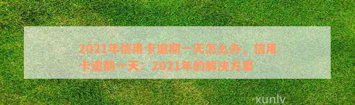 2021年信用卡逾期一天怎么办，信用卡逾期一天：2021年的解决方案