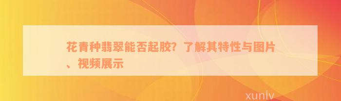 花青种翡翠能否起胶？了解其特性与图片、视频展示