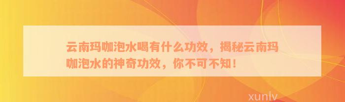 云南玛咖泡水喝有什么功效，揭秘云南玛咖泡水的神奇功效，你不可不知！