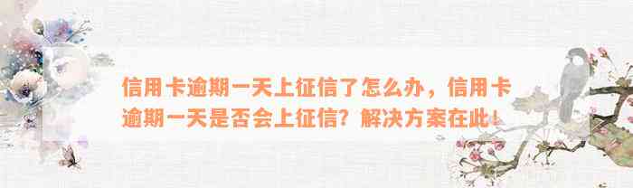 信用卡逾期一天上征信了怎么办，信用卡逾期一天是否会上征信？解决方案在此！