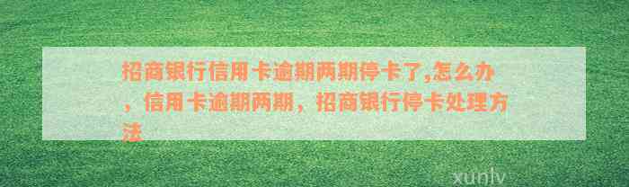 招商银行信用卡逾期两期停卡了,怎么办，信用卡逾期两期，招商银行停卡处理方法