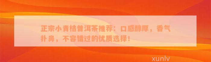 正宗小青桔普洱茶推荐：口感醇厚，香气扑鼻，不容错过的优质选择！