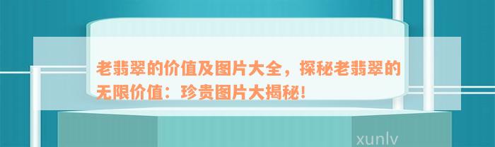 老翡翠的价值及图片大全，探秘老翡翠的无限价值：珍贵图片大揭秘！