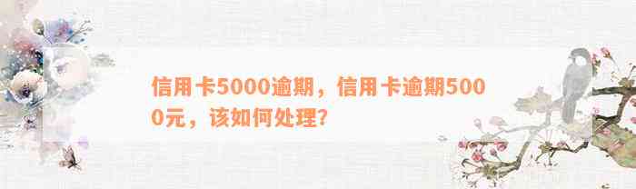 信用卡5000逾期，信用卡逾期5000元，该如何处理？