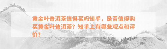 黄金叶普洱茶值得买吗知乎，是否值得购买黄金叶普洱茶？知乎上有哪些观点和评价？