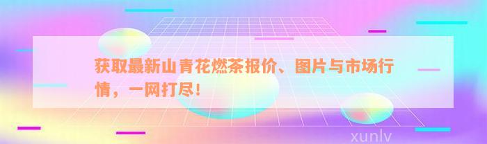 获取最新山青花燃茶报价、图片与市场行情，一网打尽！