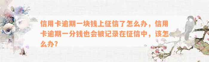 信用卡逾期一块钱上征信了怎么办，信用卡逾期一分钱也会被记录在征信中，该怎么办？