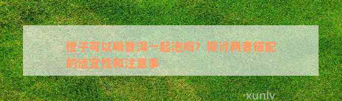 橙子可以喝普洱一起泡吗？探讨两者搭配的适宜性和注意事