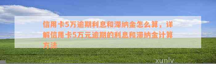 信用卡5万逾期利息和滞纳金怎么算，详解信用卡5万元逾期的利息和滞纳金计算方法